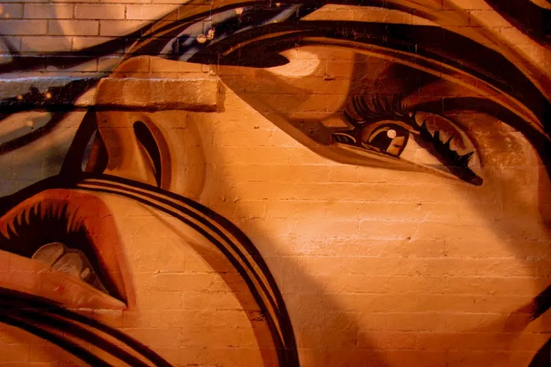 Walls That Speak: Austin's Public Art Revolution and the Artists Redefining Urban Space
